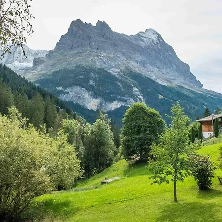 Muehlegaden 5.5 - Griwa Rent Ag Apartamento Grindelwald