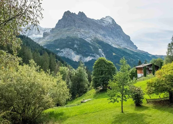 Muehlegaden 5.5 - Griwa Rent Ag Apartamento Grindelwald